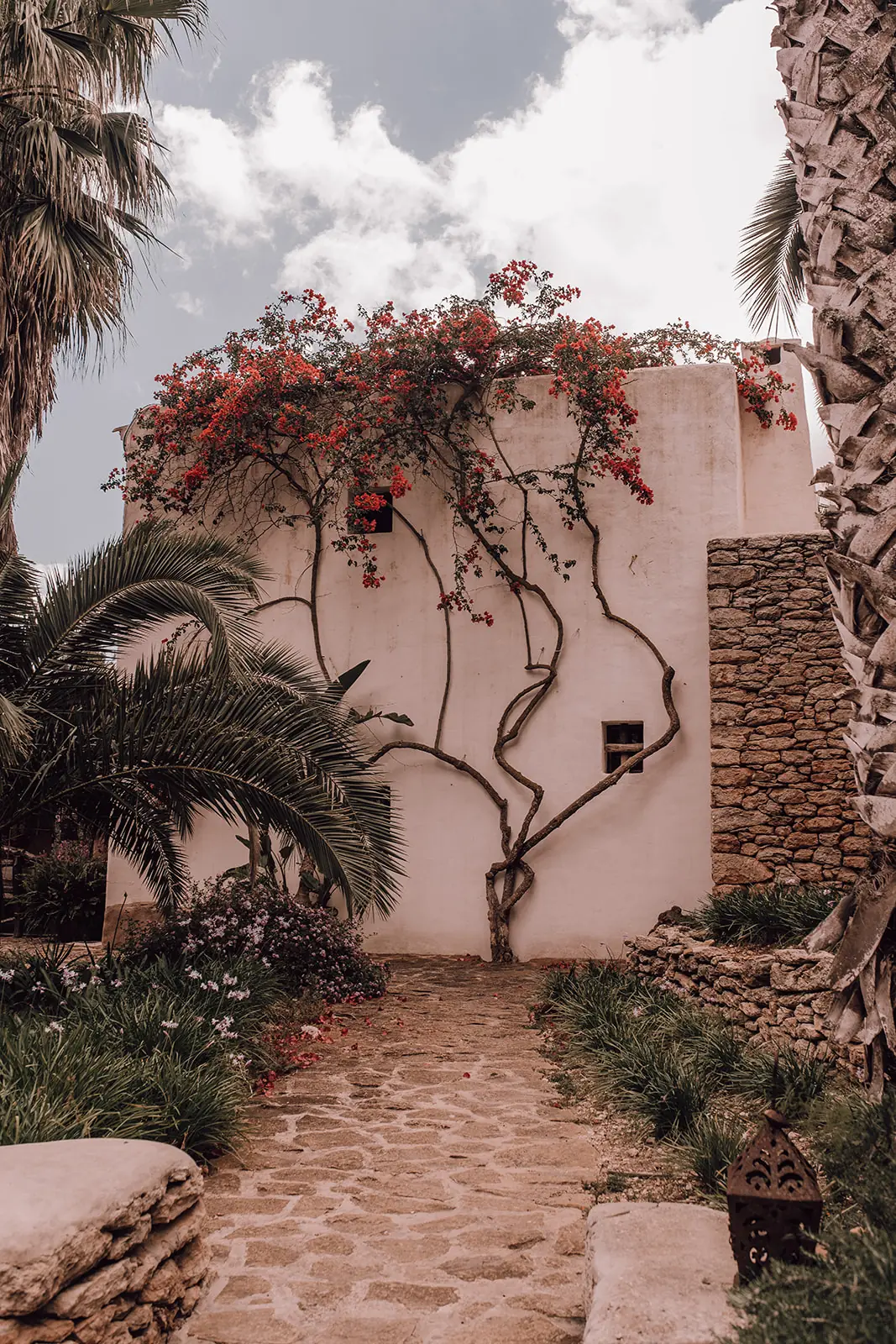 Een witte muur met bougainville en een stenen pad