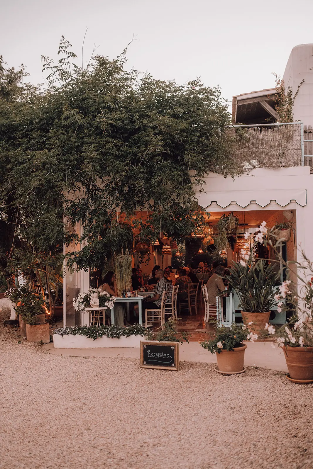 Een wit huisje met een boetiek vol planten in het avondlicht op Ibiza