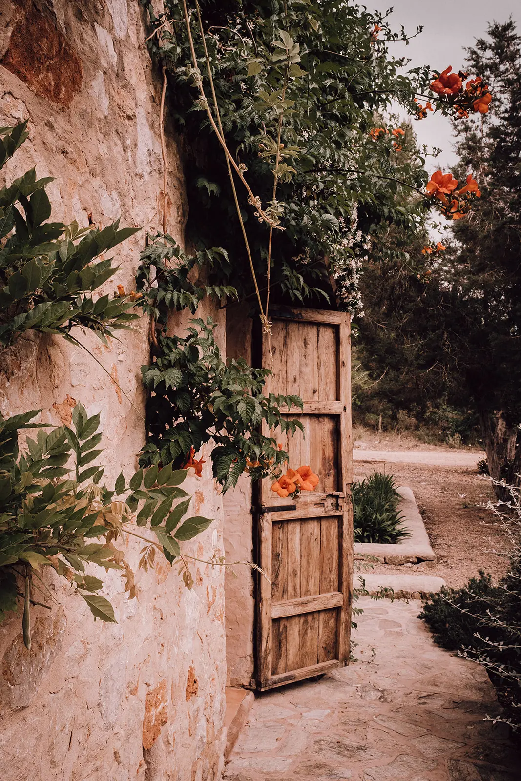 Een oude houten deur in een stenen muur met oranje bloemen