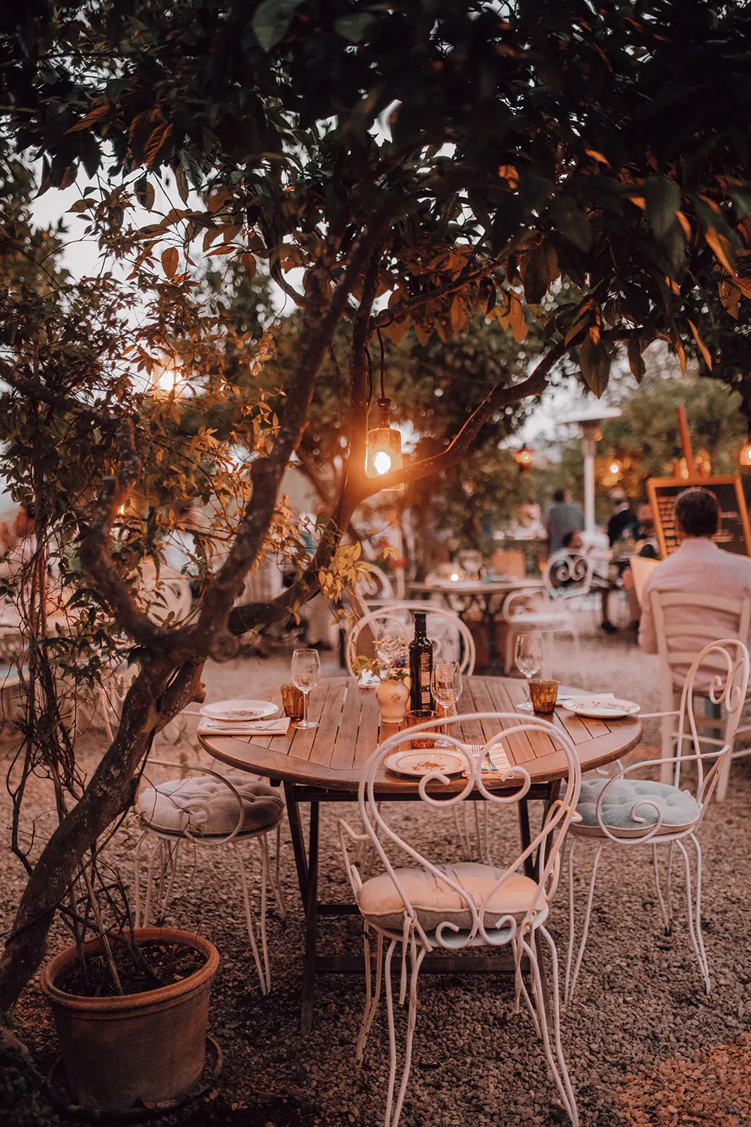 Een terras onder een boom met lichtjes en gedekte tafels in de schemering